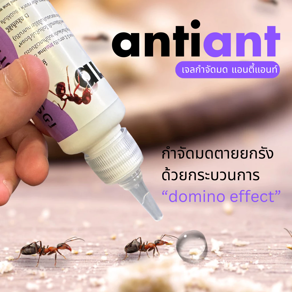 เจลกำจัดมด Antiant (แอนตี้แอ้นท์) - รูปที่ 4