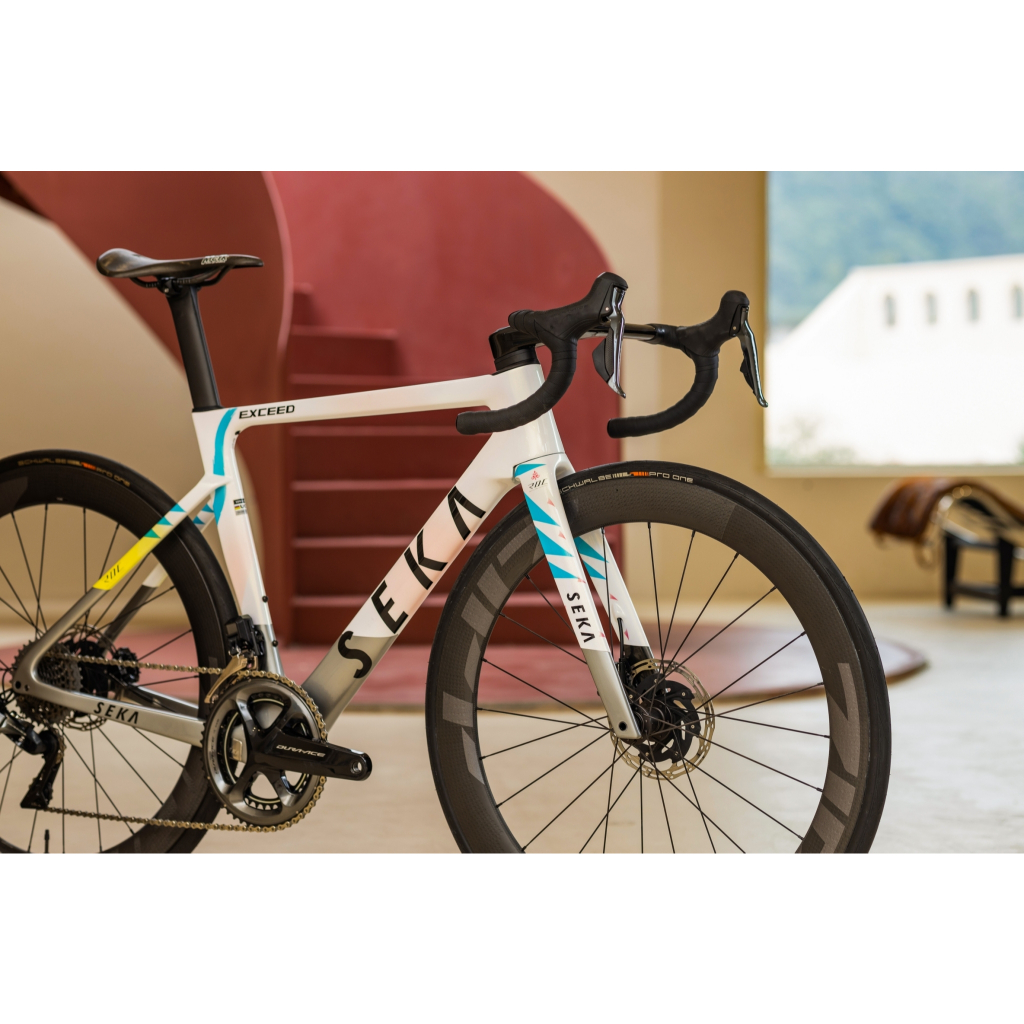 SEKA เฟรมจักรยาน รุ่น EXCEED RDC (เฉพาะเฟรม) | Shopee Thailand