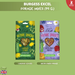 Burgess Excel Forage Mixes ดอกไม้อบแห้ง โรยเสริมไปบนหญ้า นำเข้าจากอังกฤษ ขนาด 75 g.
