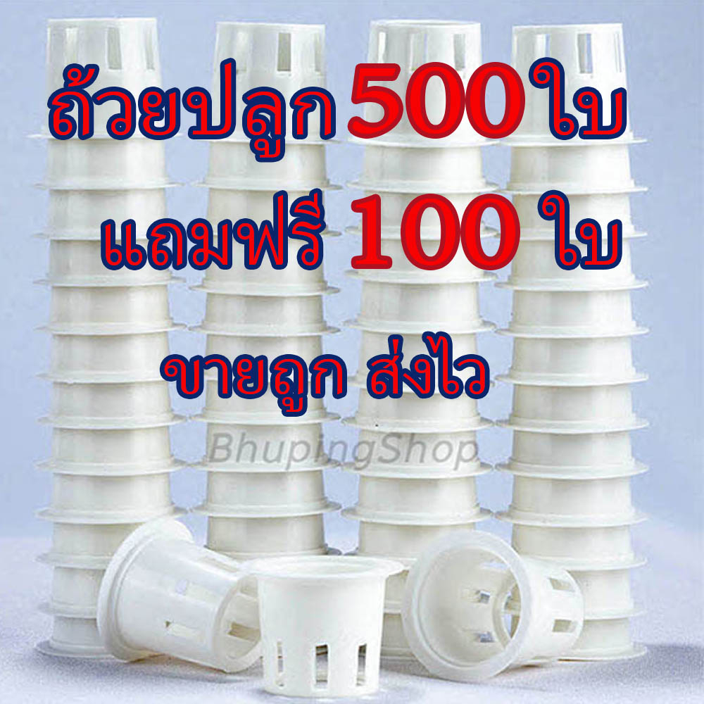 ส่งไว-ขายถูก-ชุดถ้วยปลูกผักไฮโดรโปรนิกส์-500ใบ-ฟรี-100ใบ-ถ้วยปลูกผักสลัด-รับประกันคุณภาพ-หนาเหนียวทนทาน-คุ้มค่ามาก