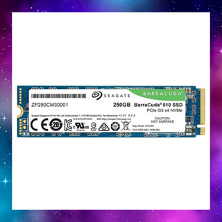 256 GB SSD (เอสเอสดี) M.2 PCIe 250.GB Seagate Barracuda 510 ใช้งานปกติ ประกัน11/2568