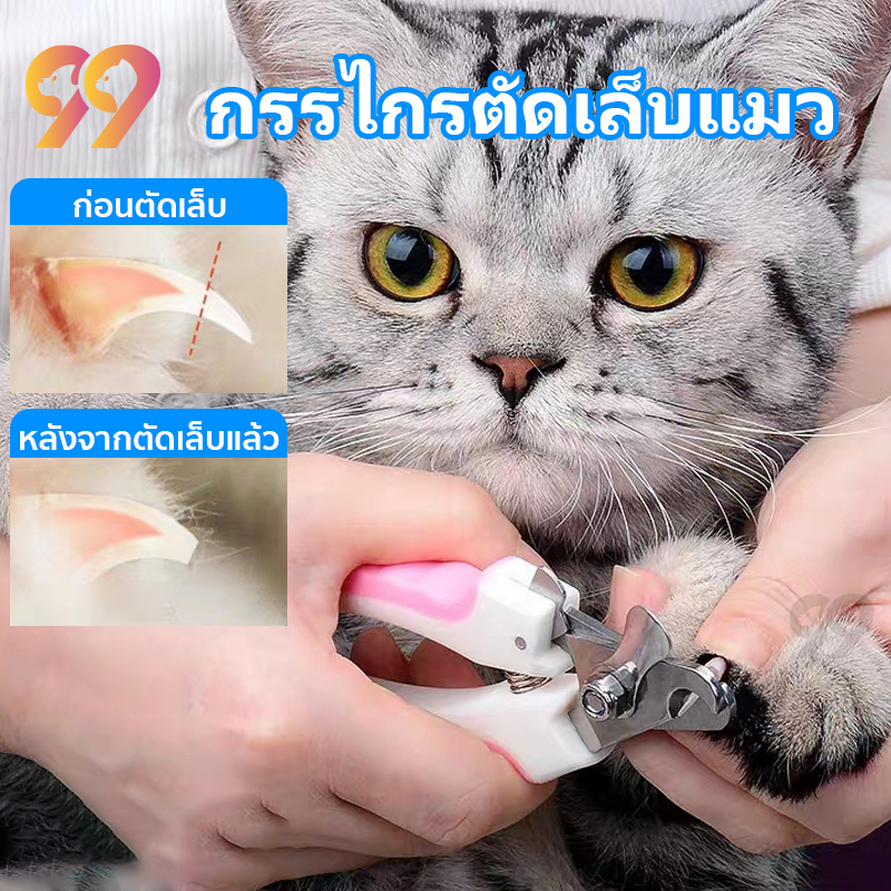 99pet-กรรไกรตัดเล็บแมว-ตัดเล็บแมว-กรรไกรตัดเล็บกระต่าย-ที่ตัดเล็บแมว-กรรไกรตัดเล็บสุนัข-ของใช้สุนัข-กรรไกรตัดเล็บ