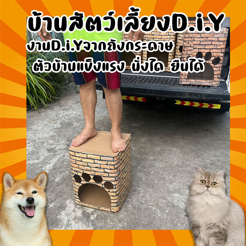 บ้านแมวจากถังกระดาษ-บ้านสัตว์เลี้ยง-คอนโดแมวd-i-y