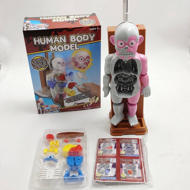 human-body-game-สินค้าเข้าเเล้ว-ของเล่น-ที่สามารถเล่นได้หลายคน