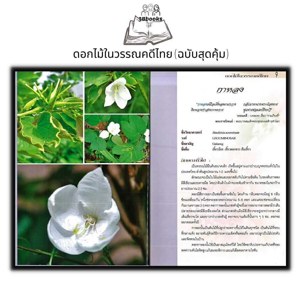 หนังสือ-ดอกไม้ในวรรณคดีไทย-ฉบับสุดคุ้ม