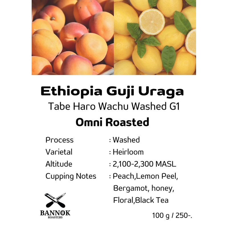 เมล็ดกาแฟคั่ว-ethiopia-guji-uraga-tabe-haro-wacgu-washed-g1