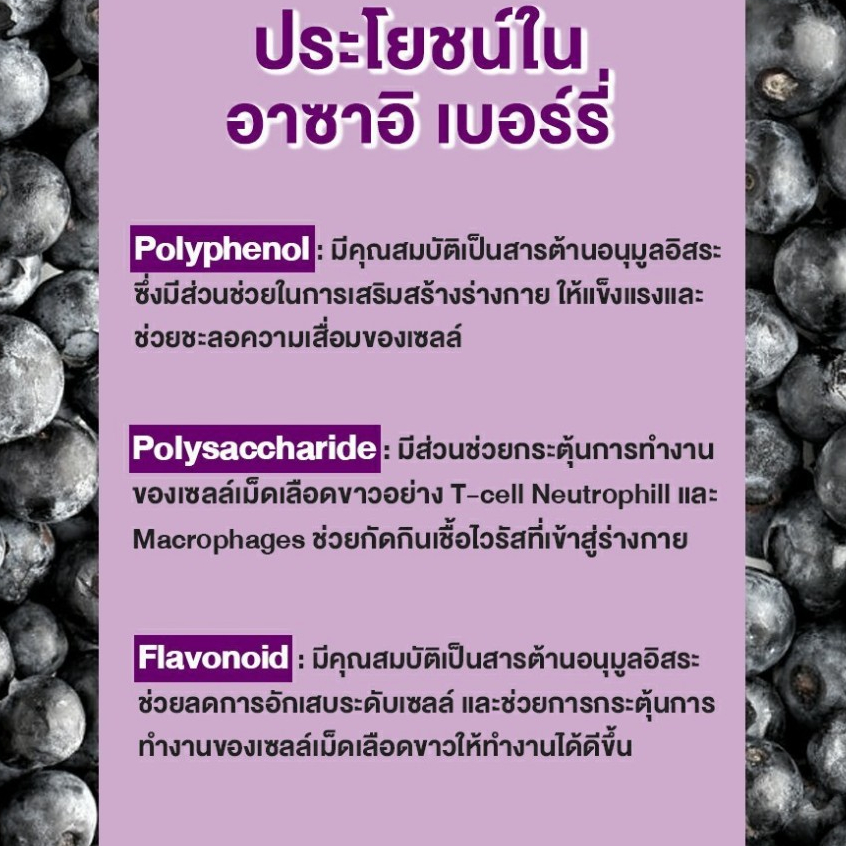 fitfood-freeze-dried-acai-100g-ผงสกัดอาซาอิเบอรี่