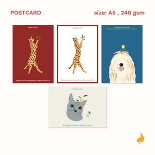 A5 Animal Postcard โปสการ์ด ขนาด A5 | a cat in my tummy