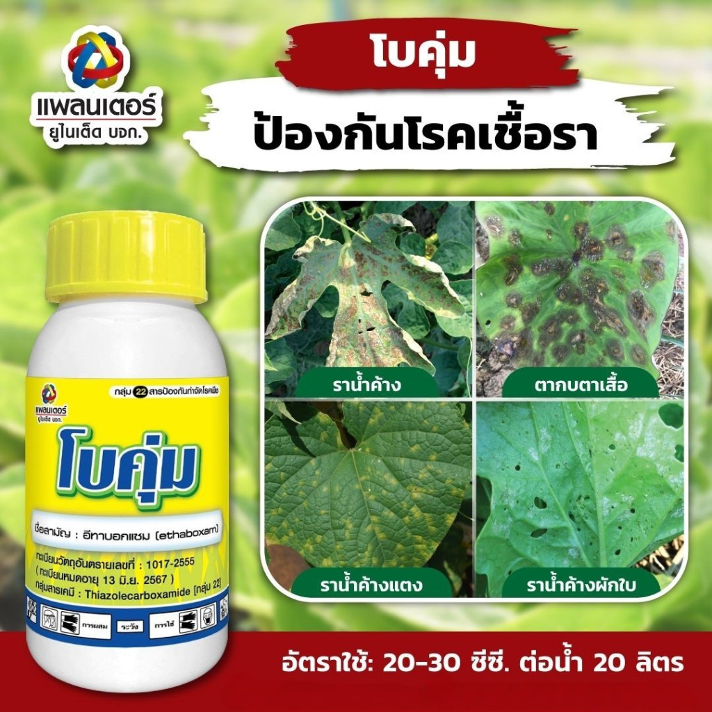 โบคุ่ม-500ml-อีทาบอกแซม-สารกำจัดเชื้อรา-ป้องกันเชื้อรา-โรคราน้ำค้าง-โรคตากบตาเสือ-โรคไฟท๊อปเทอร่า-โรคใบไหม้