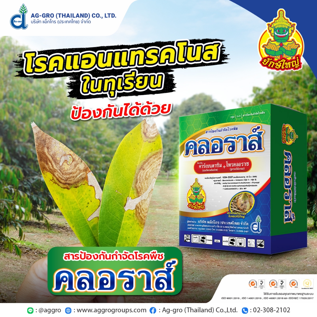 คลอราส์-250g-คาร์เบนดาซิม-โพรคลอลาส-สารกำจัดเชื้อรา-โรคแอนแทรคโนส-โรคกุ้งแห้ง-โรคดอกดำในมะม่วง-โรคราแป้ง-allaboutplants