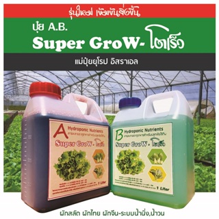 ปุ๋ย AB ไฮโดรโนิกส์ ใหม่ !!! Super GroW-โตเร็ว ขนาด 1 ลิตร 2 แกลลอน A+B