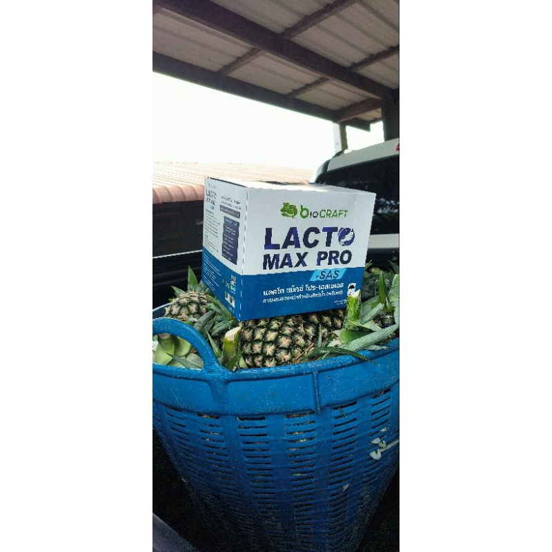 lacto-max-200-g-แลคโตแมกซ์โปร