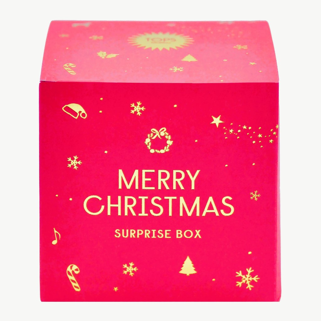 ภาพหน้าปกสินค้าChristmas Surprise Box (ขนมและของใช้จากต่างประเทศ) จากร้าน appleandwat บน Shopee