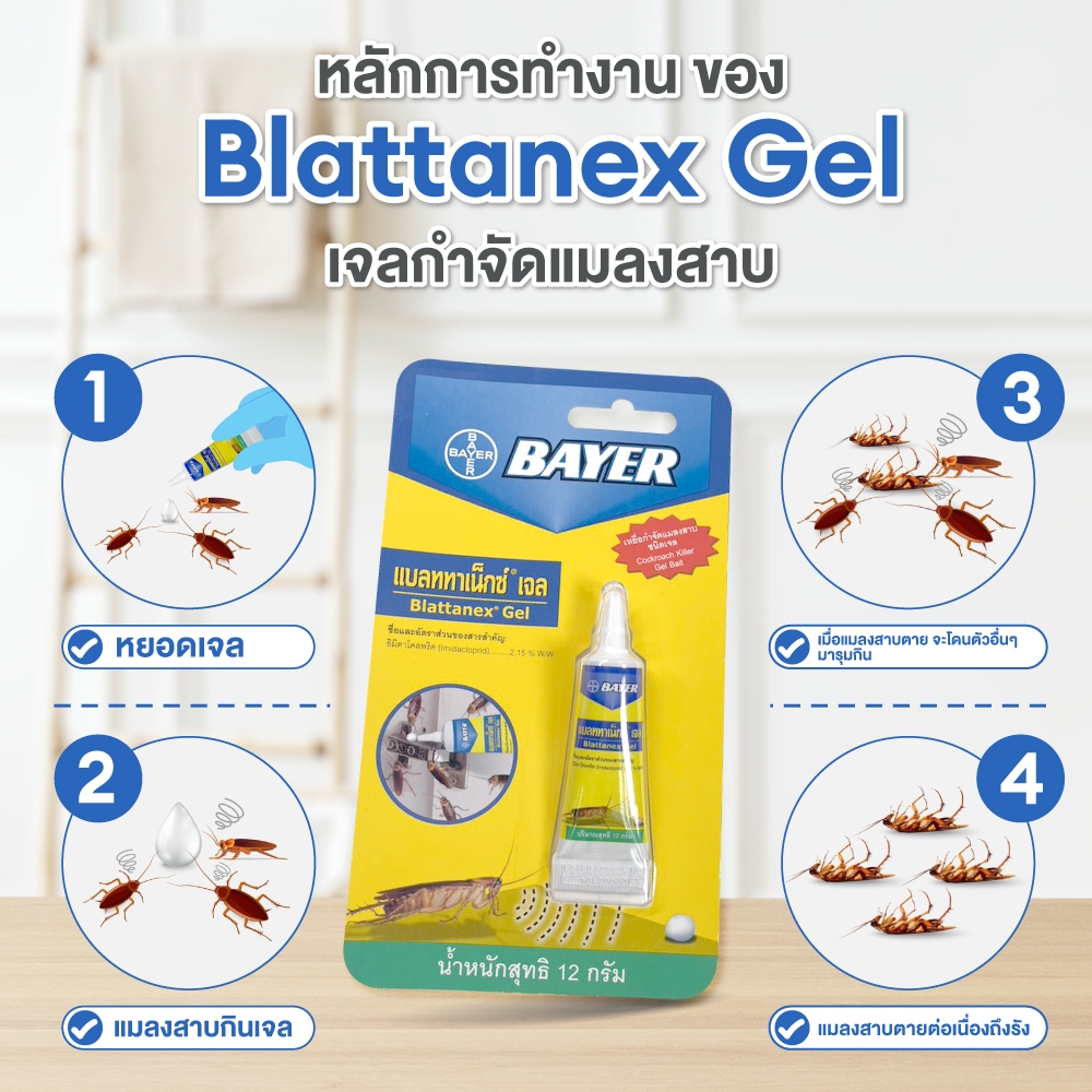 blattanex-gel-เจลกำจัดแมลงสาบ-แบลททาเน็กซ์-เจล-12-กรัม-แพ็ก-3