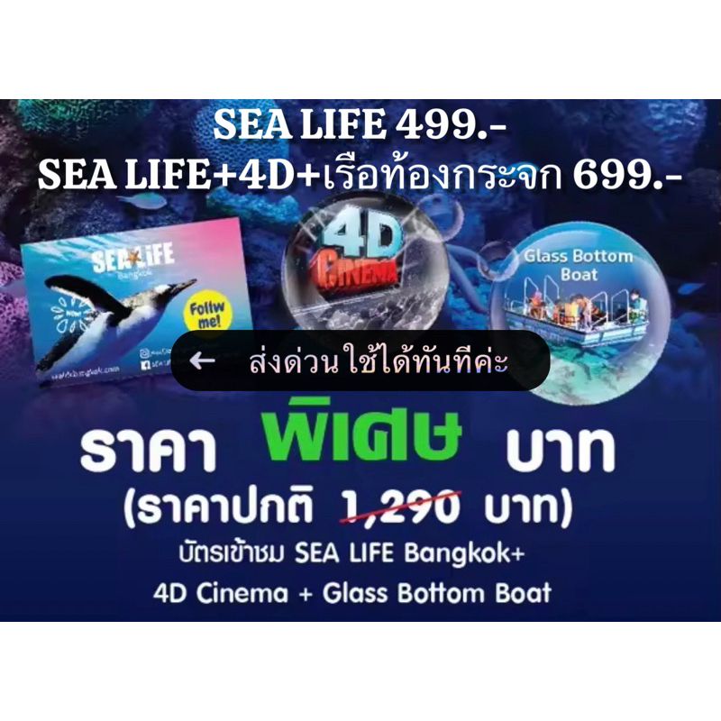 qrcode-barcode-บัตรซีไลฟ์-สยามโอเชียลเวิลด์-sealife-ocean-world-sea-life-4d-ภาพยนต์-4-มิติ-นั่งเรือท้องกระจก