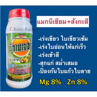 ซิกเนเจอร์ (แมกนีเซียม+สังกะสี)เร่งเขียว เข้าสี 1 ลิตร