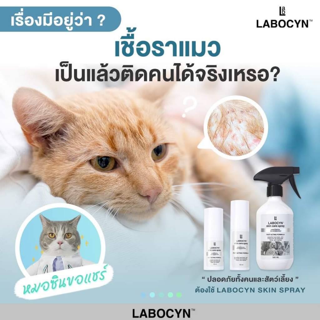 [ส่งไว] Labocyn Skin Care Spray สเปรย์ดูแลผิวหนังสุนัข แมว ผิวหนัง แผล ...
