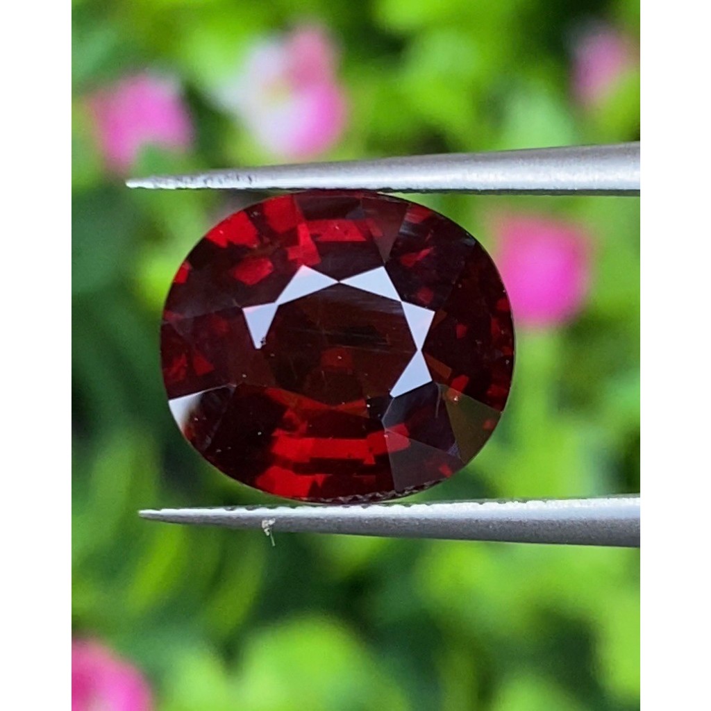 พลอย โกเมน Pyrope - Almandite Garnet 6.55 กะรัต (Cts.) พร้อมใบเซอร์ ...