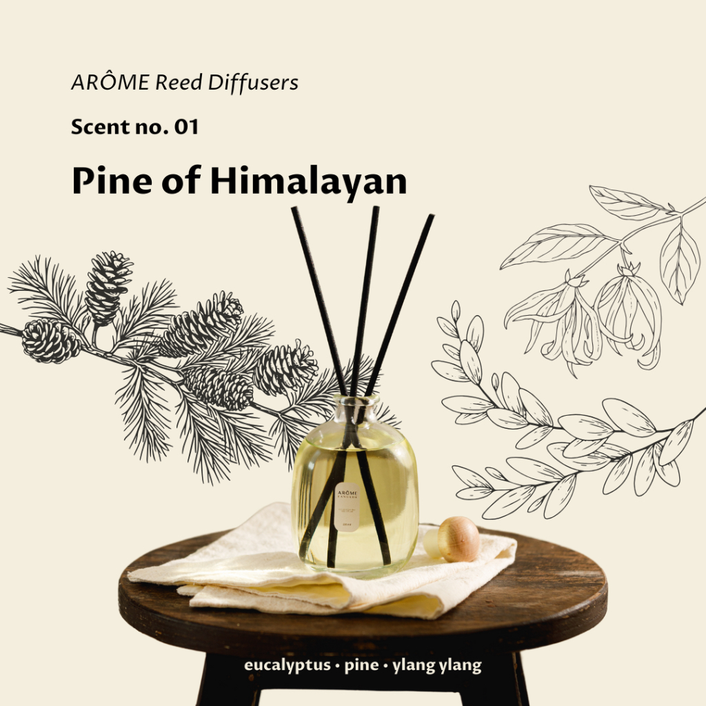ARÔME Reed Diffusers : Scent no.01 Pine of Himalayan ก้านไม้หอมระเหย ...