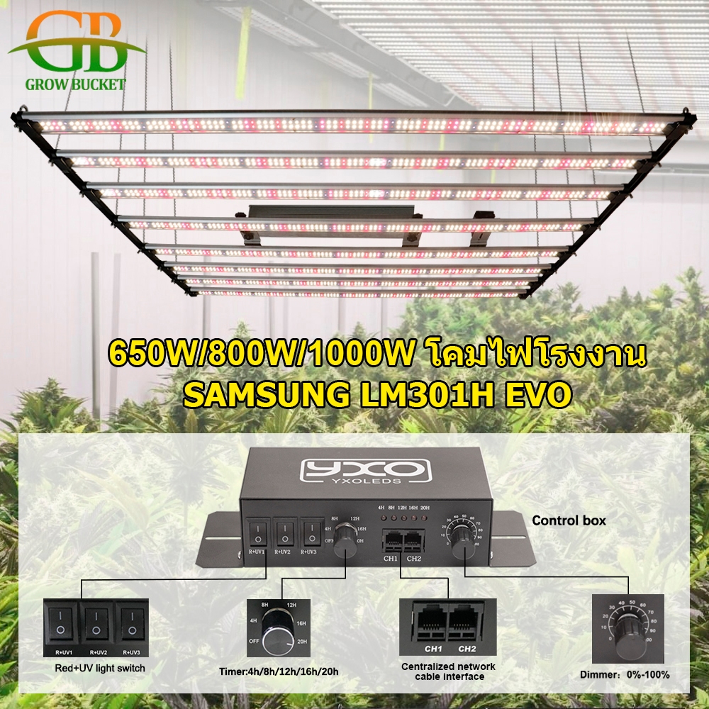 650W 800W 1000W ไฟ led ปลูกต้นไม SamsungLM301H EVO timer ไฟ grow light ...