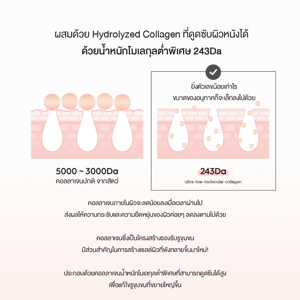 BIODANCE Pore Tightening Collagen Ampoule 50ml | Shopee Thailand