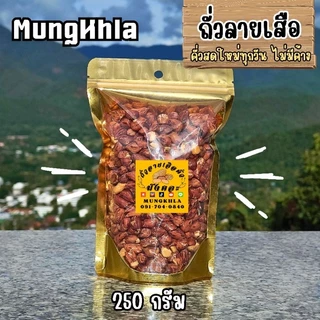 มังคละ ถั่วลายเสือ 250 กรัม (คัดเกรดพิเศษ) ถั่วลายเสือแม่ฮ่องสอน ถั่วลายเสือคั่ว photo