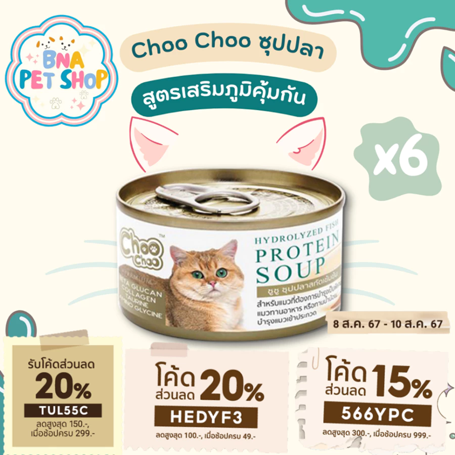 ChooChoo ซุปปลาสกัดเข้มข้น