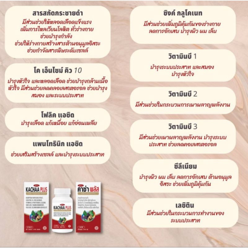 KACHANA KACHAA PLUS คาช่า พลัส 60 เม็ด ช่วยให้ร่างกายสดชื่น ไม่อ่อน ...