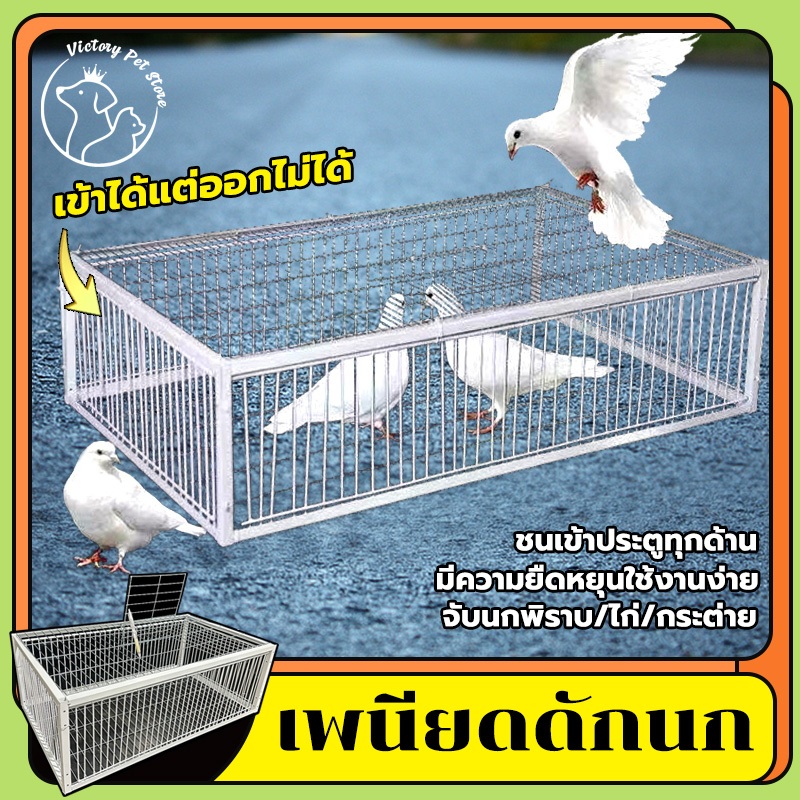 th-11134207-7r990-lyzxr2j94muh5e