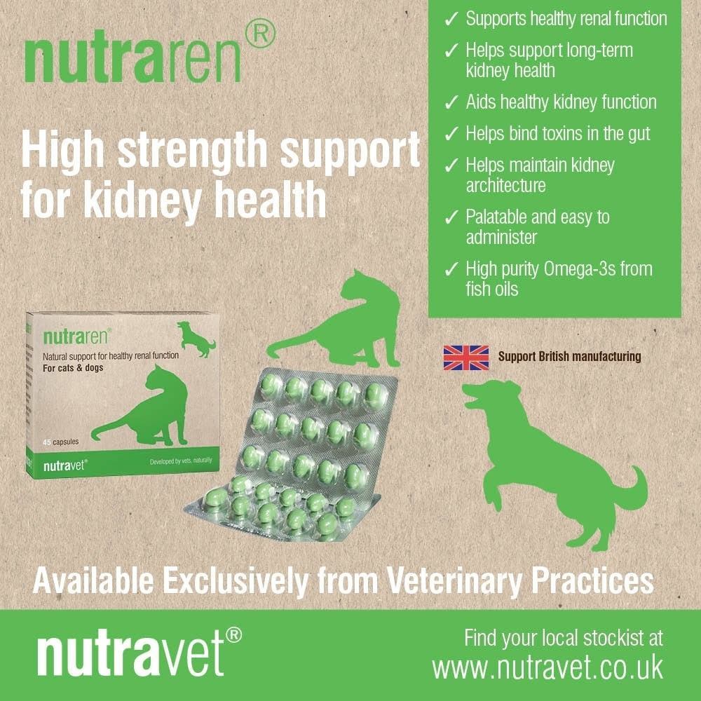 Nutraren Nutravet🔥Exp.2028 อาหารเสริม บำรุงไต สุนัข แมว สัตว์เลี้ยง ...