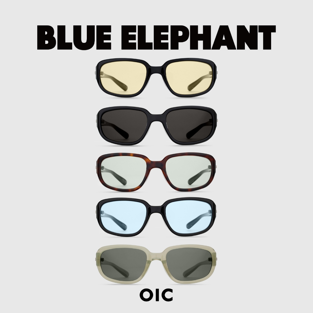 แว่นกันตาแดด BLUE ELEPHANT - OIC ( Black, Blue tint, Jelly green ...