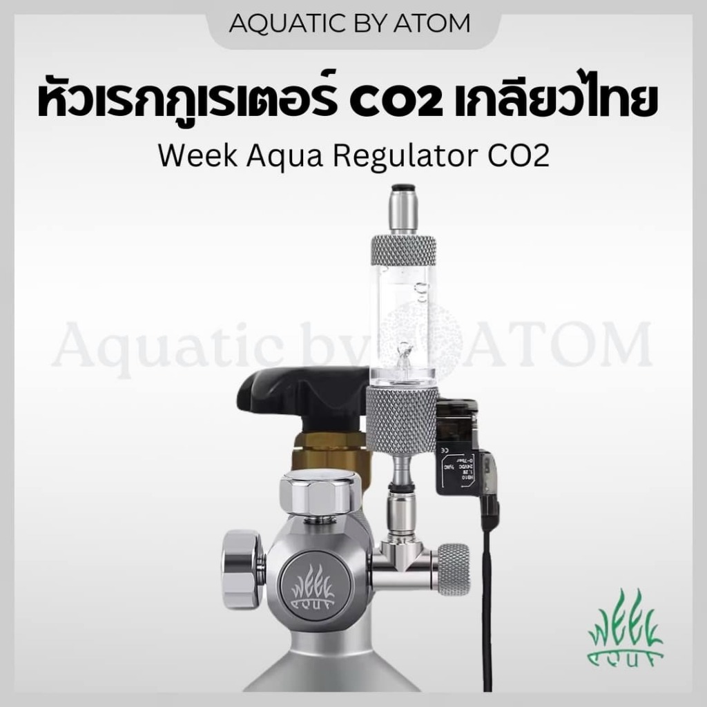 (พร้อมส่ง) Week Aqua CO2 Regulator เกลียวไทย CGA320 หัวเรกกูเรเตอร์ ...