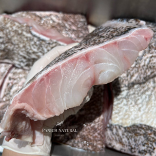 ภาพหน้าปกสินค้าPanich Natural ปลาเก๋าแล่ชิ้นหนา ปลา อาหารทะเล สด ปลอดสารเคมี ที่เกี่ยวข้อง