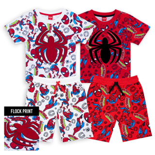 Marvel Boy Spider-Man Flock Print T-Shirt - เสื้อมาร์เวลเด็กผู้ชายพิมพ์กำมะหยี่ ลายสไปเดอร์แมน เด็ก1-7ปี  สินค้าลิขสิทธ์แท้100% characters studio