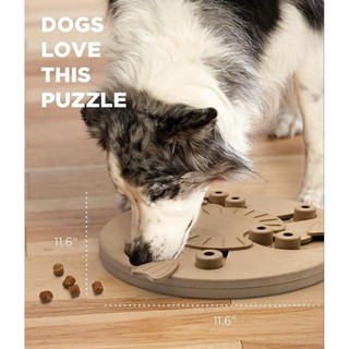Outward Hound Nina Ottosson ปริศนาของเล่นสุนัข