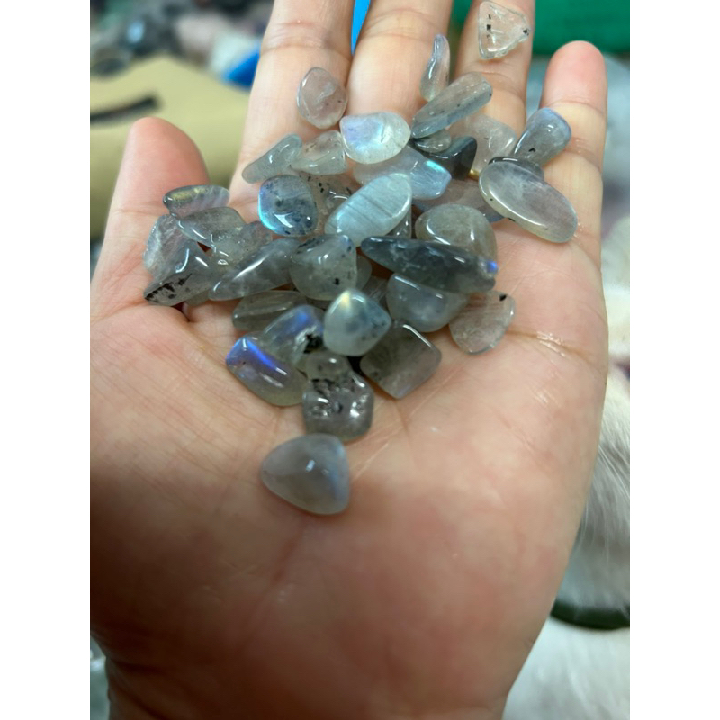 ลาบลาดอไลต์-labradorite-หินพ่อมด8-12มิล-950g-หินแท้-เศษพลอยหินธรรมชาติ-หินนำโชค-หินมงคล-เศษหิน-เศษพลอย-ต้นไม้