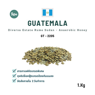 สารกาแฟ Guatemala Diversa Estate Rume Sudan – Anaerobic Honey (GT2205) ขนาด 1 Kg.