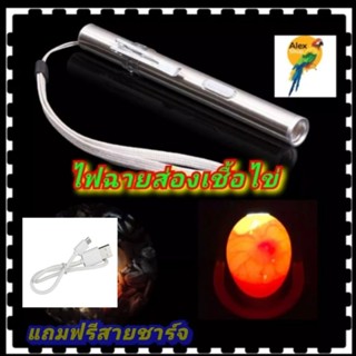 💥พร้อมส่งในไทย💥ไฟฉายส่องเชื้อไข่ ไข่นก ไข่ไก่ ไฟฉายพกพา LED รุ่นใหม่ น้ำหนักเบา