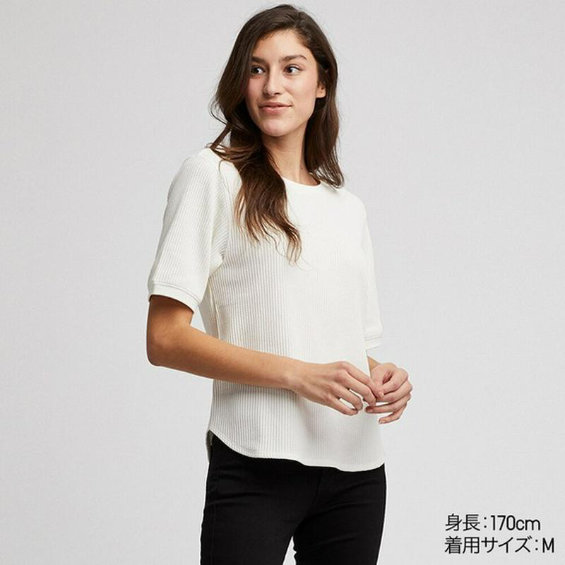 เสื้อ-uniqlo-แท้-size-xl