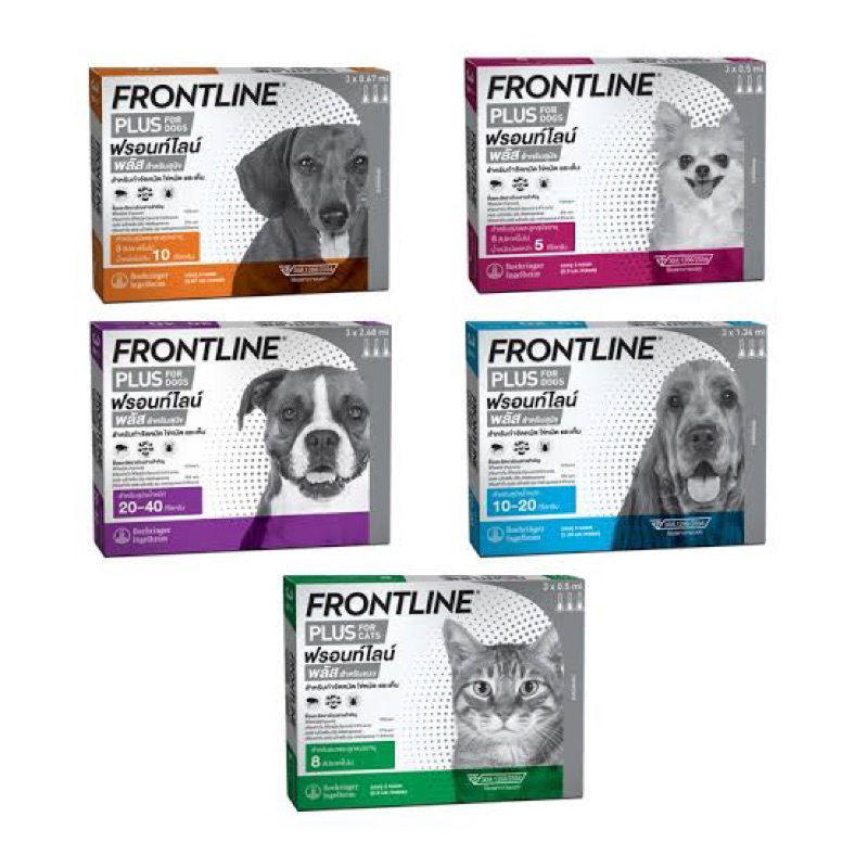 frontline-for-dog-หยด