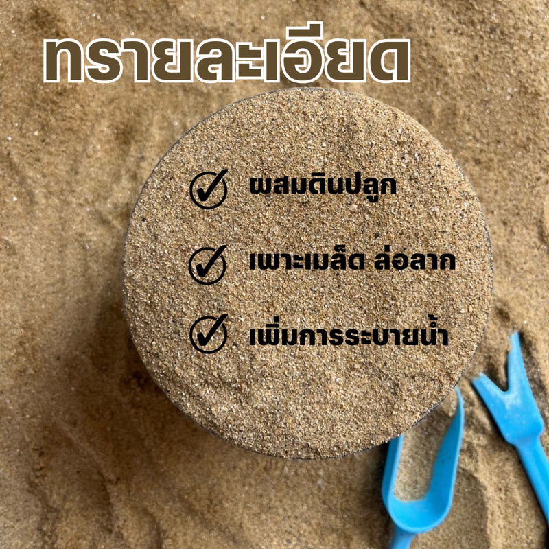 ทรายละเอียด-ราคาถูก-ดินปลูกต้นไม้-ดินปลูกแคคตัส-วัสดุปลูก