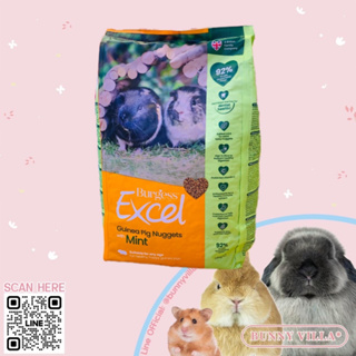 Burgess Excel อาหาร Guinea Pig Nuggets 1.5kg