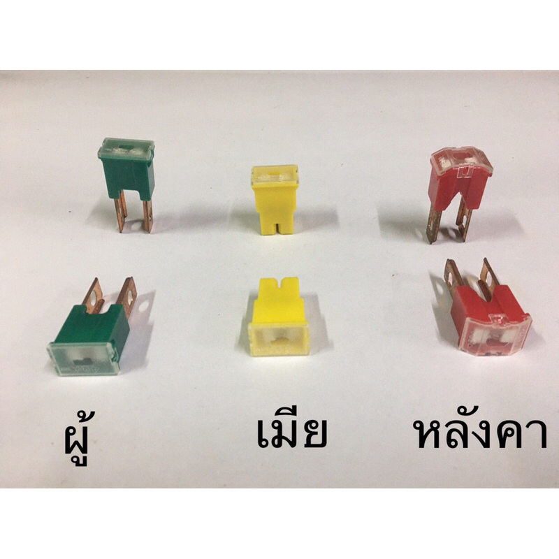 ฟิวส์เมน รถยนต์ , main fuses Shopee Thailand