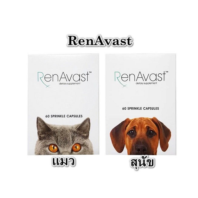 renavast-แท้-แบ่งขาย-10-เม็ด-อาหารเสริมบำรุงไต-แมว-อาหารเสริม-ไต