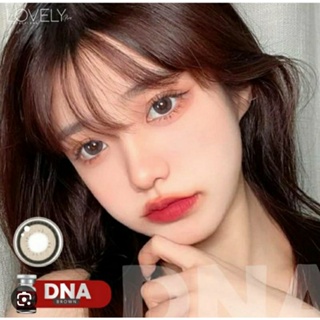 DNA Gray/DNA Brown (บิ๊กอาย)Lovelylens คอนแทคเลนส์ ตาโตสวยแบ๊วสุดฮิต