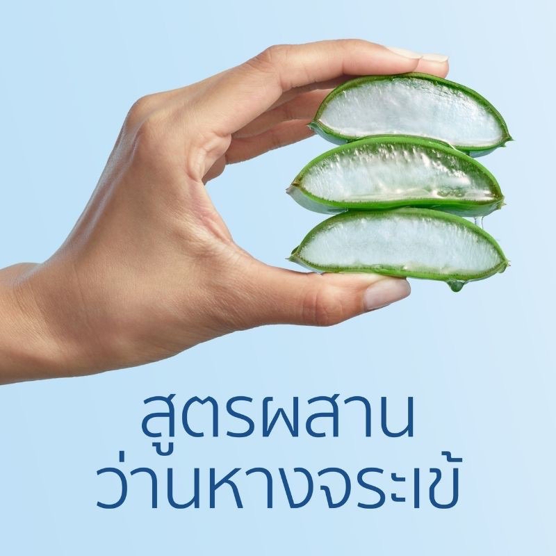 head-amp-shoulders-เฮด-แอนด์-โชว์เดอร์-แชมพู-แอนตี้-แดนดรัฟ-สคาล์พ-ซูทติ้ง-370-มล-แชมพูขจัดรังแค-ว่านหางจระเข้