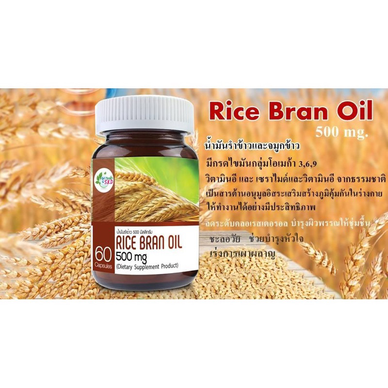 Rice Bran Oil 500 mg 60 Capsules กรดไขมันไม่อิ่มตัว | Shopee Thailand