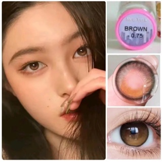 New York Brown/Gray (ขนาด14.5) สายตา0.00-600 คอนแทคเลนส์ Kitty kawaii