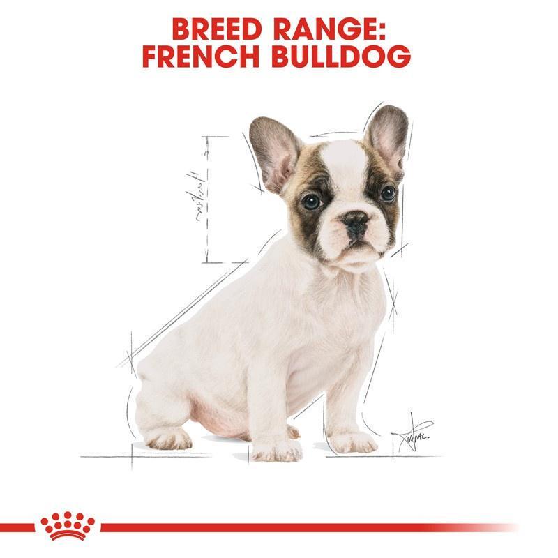 royal-canin-puppy-french-bulldog-โรยัล-คานิน-อาหารลูกสุนัข-พันธุ์เฟรนชบลูด็อก-3-kg