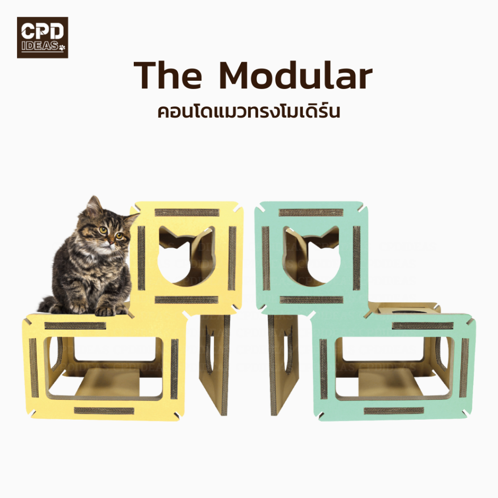 คอนโดแมว-ของเล่นแมว-บ้านแมว-ที่นอนแมว-ที่ลับเล็บแมว-the-modular-รุ่น-ทรงโมเดิร์น